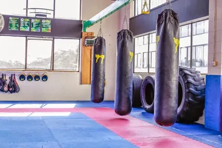 Dynamic Martial Arts - Silverdale training Centre